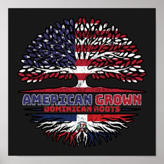 アメリカ合衆国ドミニカ共和国統一された州 ポスター (正面)
