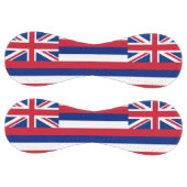 アメリカ合衆国ハワイ州旗を持つ愛国的ソフトボール ソフトボール (パネル)