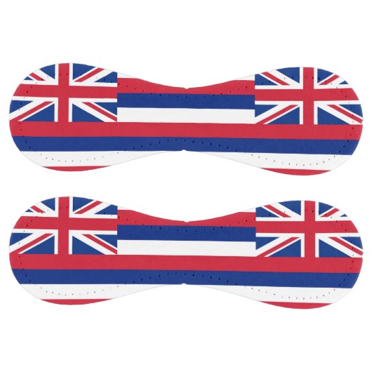 アメリカ合衆国ハワイ州旗を持つ愛国的ソフトボール ソフトボール (パネル)