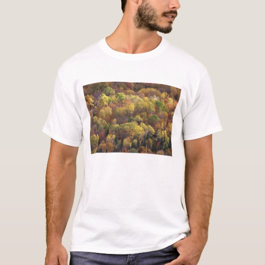 アメリカ合衆国バーモント州の秋の風景 2 Tシャツ (正面)