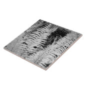 アメリカ合衆国フロリダ州の野生の大型皮革シダ。 タイル (側面)