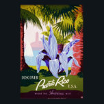 アメリカ合衆国プエルトリコを発見 ポスター<br><div class="desc">ヴィンテージワークスプログレス管理(WPA)が支援するプエルトリコへの旅行を促進する芸術。1935年から1941年の間に誕生。</div>