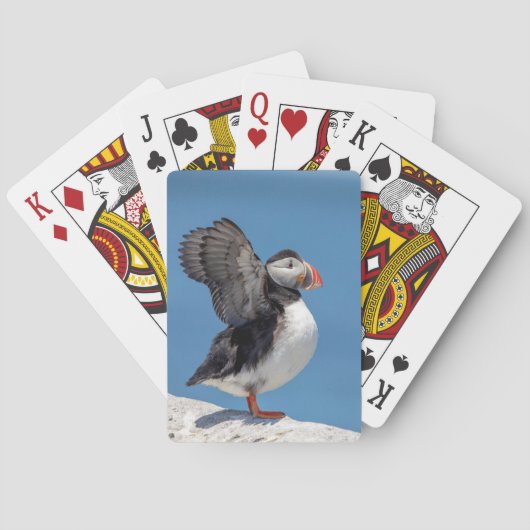 アメリカ合衆国マキアスの大西洋プフィン トランプ (裏面)