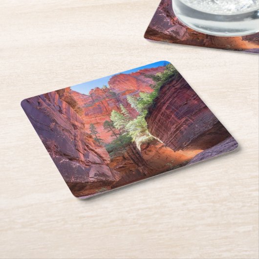 アメリカ合衆国ユタ州ジオン国立公園 スクエアペーパーコースター (アングル)