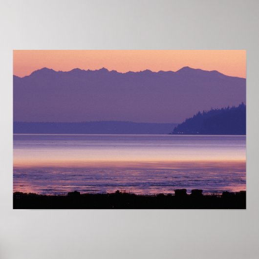 アメリカ合衆国ワシントン州コンウェイ。オリンピックマウンテンズ ポスター (正面)