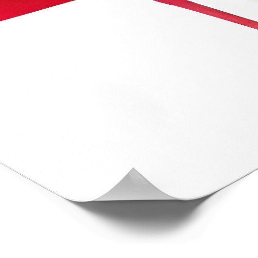 アメリカ合衆国国旗とバイソン ポスター (角)