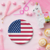 アメリカ合衆国国旗のパーティーパーティーフード ペーパープレート (パーティー)