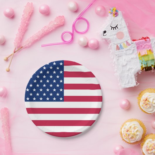 アメリカ合衆国国旗のパーティーパーティーフード ペーパープレート (パーティー)