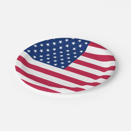 アメリカ合衆国国旗のパーティーパーティーフード ペーパープレート (アングル)