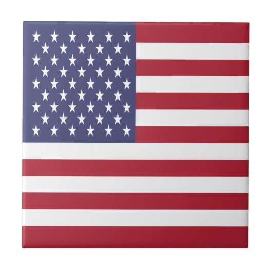 アメリカ合衆国国旗 タイル (正面)