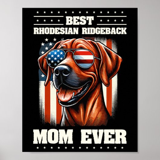 アメリカ合衆国国旗Rhodesian Ridgeback 7月4日 ポスター (正面)