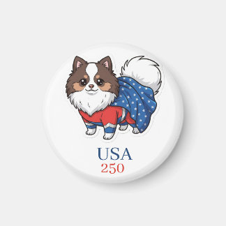 アメリカ合衆国建国250周年 マグネット