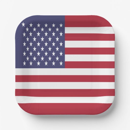 アメリカ合衆国旗 ペーパープレート (正面)