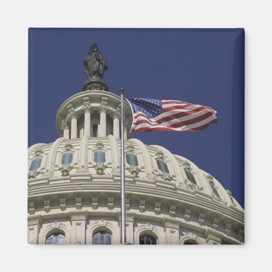 アメリカ合衆国議会議事堂（ワシントンD.C.） マグネット (正面)