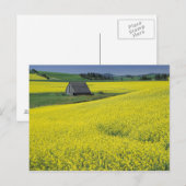 アメリカ合衆国，アイダホ，ポトラッチの近く，木造の納屋と ポストカード (正面/裏面)