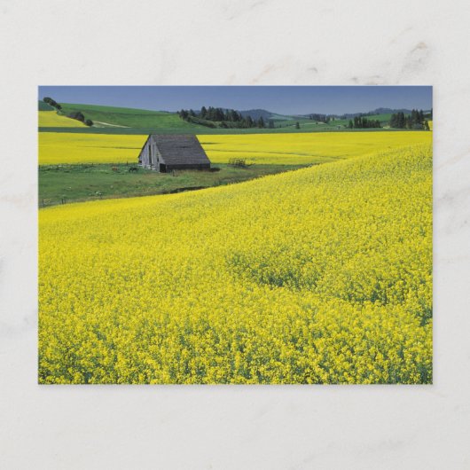 アメリカ合衆国，アイダホ，ポトラッチの近く，木造の納屋と ポストカード (正面)