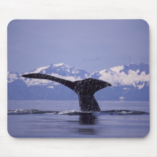 アメリカ合衆国,アラスカ州, インサイド・パッセージ ザトウクジラ マウスパッド (正面)