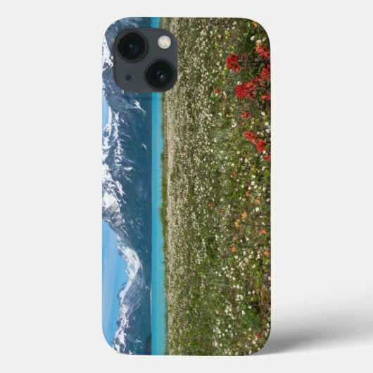 アメリカ合衆国, アラスカ州, グレイシャーベイ国立公園 2 Case-Mate iPhoneケース (裏面)