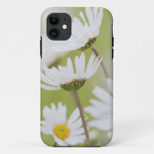 アメリカ合衆国, アラスカ州, グレイシャーベイ国立公園 iPhone 11 ケース