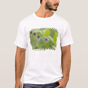 アメリカ合衆国, アラスカ州, グレイシャーベイ国立公園 Tシャツ