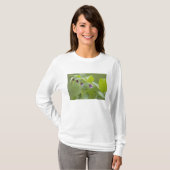アメリカ合衆国, アラスカ州, グレイシャーベイ国立公園 Tシャツ (正面フル)