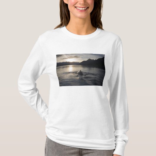 アメリカ合衆国, アラスカ州, グレイシャーベイ国立公園, Tシャツ (正面)