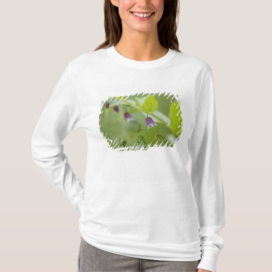 アメリカ合衆国, アラスカ州, グレイシャーベイ国立公園 Tシャツ (正面)
