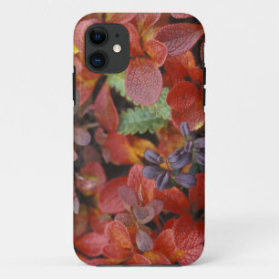 アメリカ合衆国 アラスカ州 デナリ国立公園 コケモモ iPhone 11 ケース