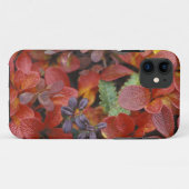 アメリカ合衆国 アラスカ州 デナリ国立公園 コケモモ Case-Mate iPhoneケース (裏面(横))