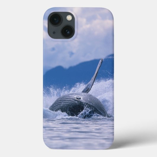 アメリカ合衆国, アラスカ州, トンガス国有林, ザトウクジラ Case-Mate iPhoneケース (裏面)