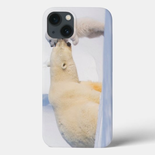 アメリカ合衆国, アラスカ州, ノーススロープ | ホッキョクグマ Case-Mate iPhoneケース (裏面)