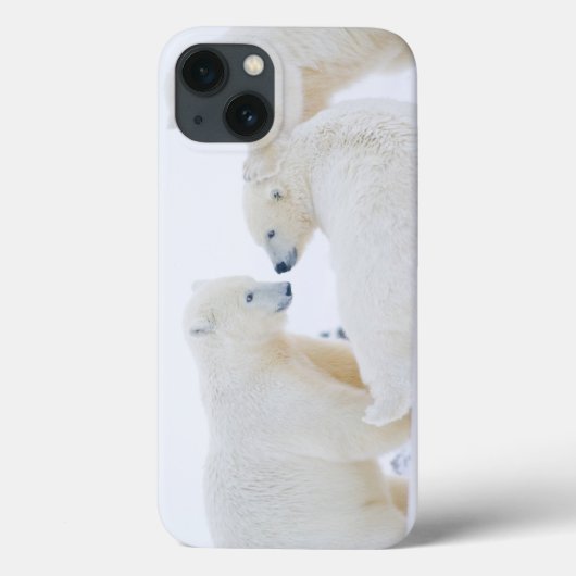 アメリカ合衆国, アラスカ州, 北極圏の1002沿岸平野 Case-Mate iPhoneケース (裏面)