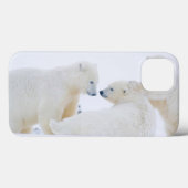 アメリカ合衆国, アラスカ州, 北極圏の1002沿岸平野 Case-Mate iPhoneケース (裏面 (横))