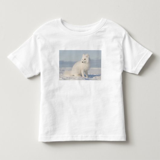 アメリカ合衆国, アラスカ州, 北極圏の1002海岸平野 5 トドラーTシャツ (正面)