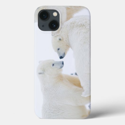 アメリカ合衆国, アラスカ州, 北極圏の1002海岸平野 Case-Mate iPhoneケース (裏面)