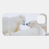 アメリカ合衆国, アラスカ州, 北極圏の1002海岸平野 Case-Mate iPhoneケース (裏面 (横))