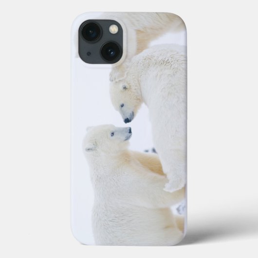 アメリカ合衆国, アラスカ州, 北極圏の1002海岸平野 Case-Mate iPhoneケース (裏面)