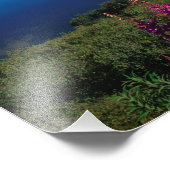 アメリカ合衆国，アラスカ，アラスカ州コモン フォトプリント            (角)