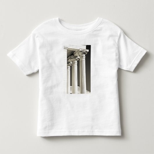 アメリカ合衆国, アラバマ州, モントゴメリー. アラバマ州会議事堂, トドラーTシャツ (正面)