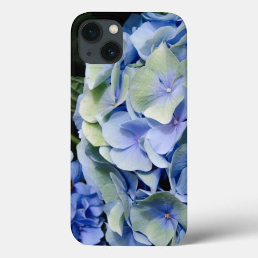 アメリカ合衆国, アラバマ州, モービル近郊のセオドア Case-Mate iPhoneケース (裏面)
