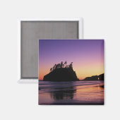 アメリカ合衆国，オリンピックNPトワイライト第2ビーチ マグネット (正面/裏面)