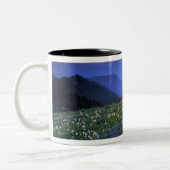 アメリカ合衆国，オリンピックNP, WA, Obliton Point Sunset ツートーンマグカップ (左)