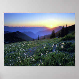 アメリカ合衆国，オリンピックNP, WA, Obliton Point Sunset ポスター