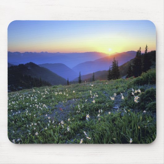 アメリカ合衆国，オリンピックNP, WA, Obliton Point Sunset マウスパッド (正面)