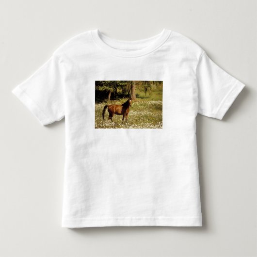 アメリカ合衆国、オレゴン州。ひまわりのない野原の馬 トドラーTシャツ (正面)