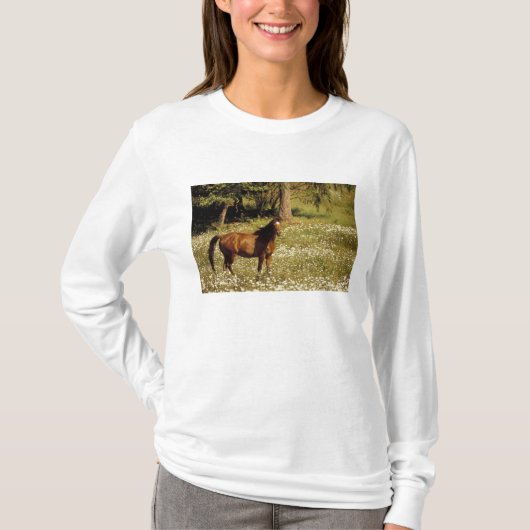 アメリカ合衆国、オレゴン州。ひまわりのような花の咲く野原の馬 Tシャツ (正面)