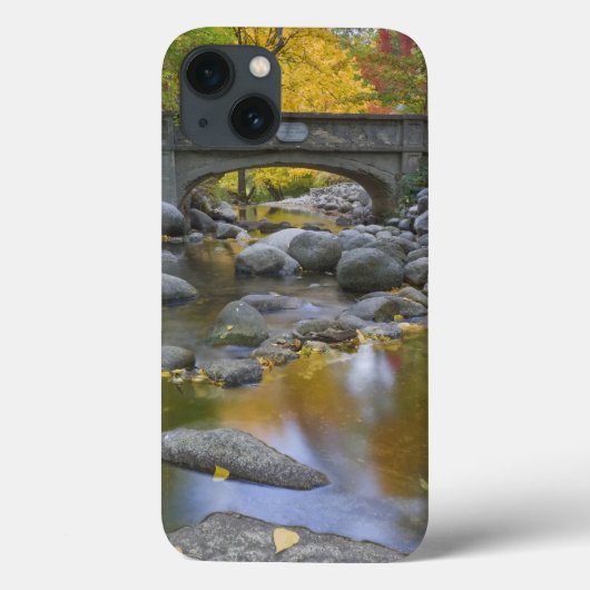 アメリカ合衆国 オレゴン州 アシュランド リシアパーク 紅葉 Case-Mate iPhoneケース (裏面)