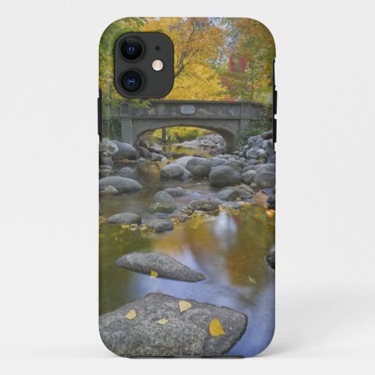 アメリカ合衆国 オレゴン州 アシュランド リシアパーク 紅葉 Case-Mate iPhoneケース (裏面)