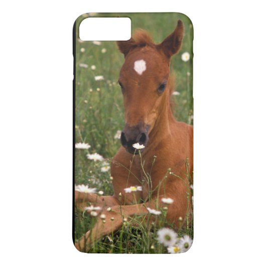 アメリカ合衆国, オレゴン州, アラビアンホース. Case-Mate iPhoneケース (裏面)