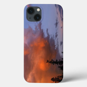 アメリカ合衆国 オレゴン州 アンプクワ国有林。嵐2 iPhone 13ケース